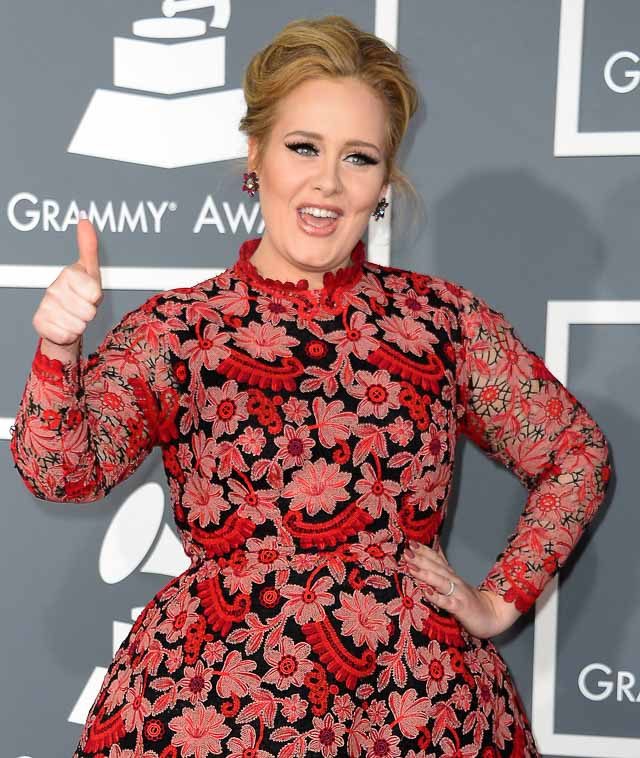 Adele announces new upcoming album ’25’