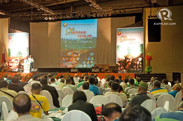 EXPAND. Officials and industry players says the country needs to expand hectarage of oil palm to become a major player in world export market. Photo by Edwin Espejo / Rappler  
