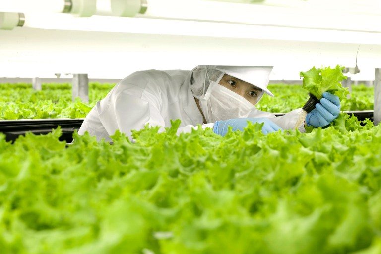World’s first ‘robot-run’ farm to open in Japan