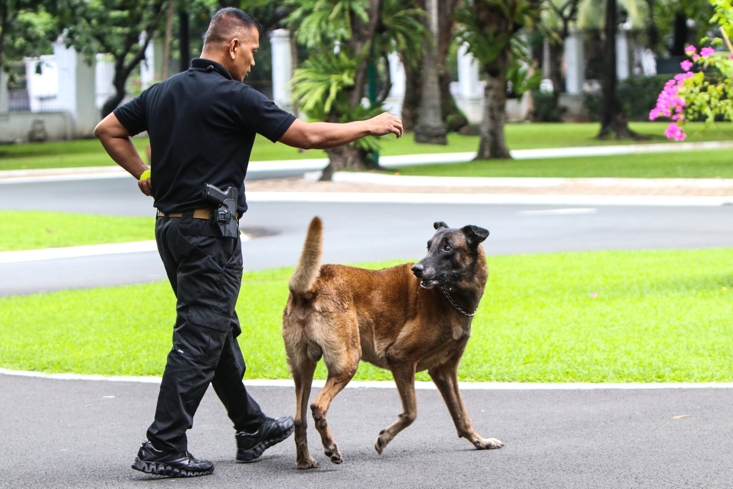 PSG adjusts number of guard dogs for ‘active’ Duterte