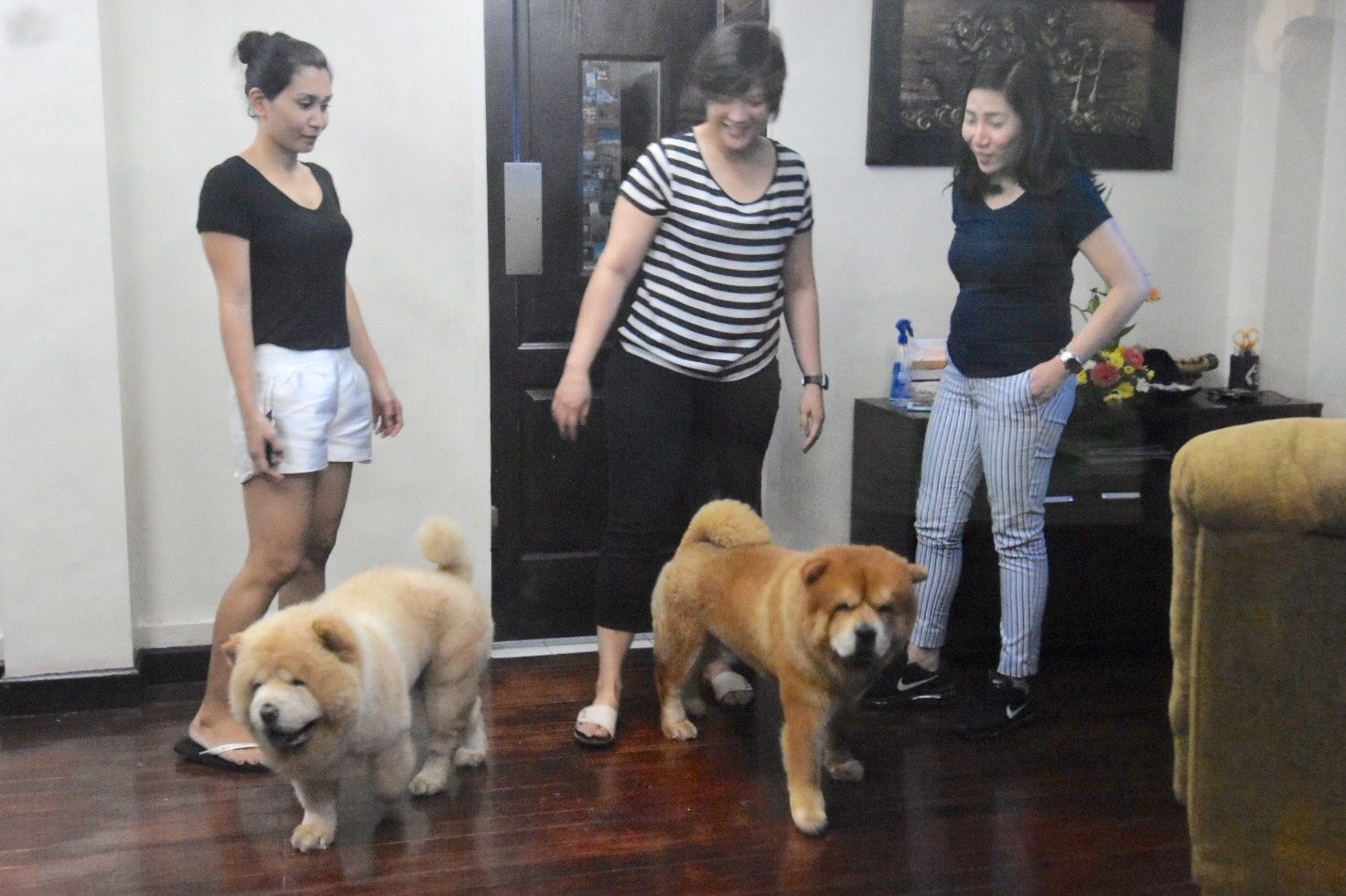 FAMILY. The welcoming party at Trillanes' home – wife Arlene and their dogs Bruno (left) and Django (right). Photo by Angie de Silva/Rappler 