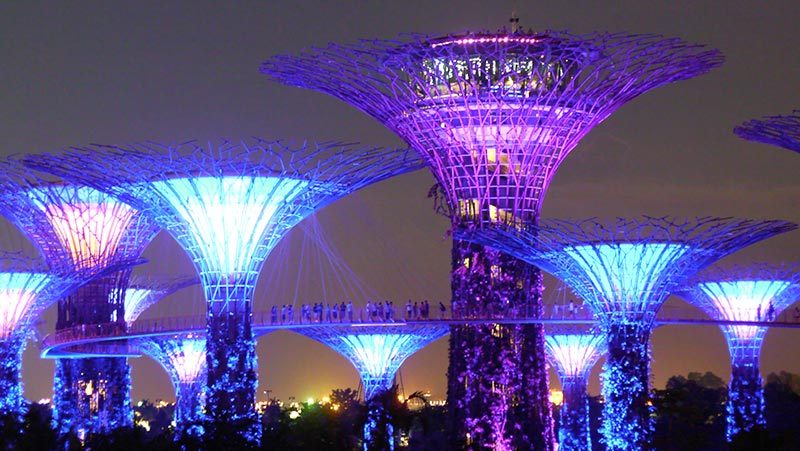 #SG50: How planning made Singapore a Garden City