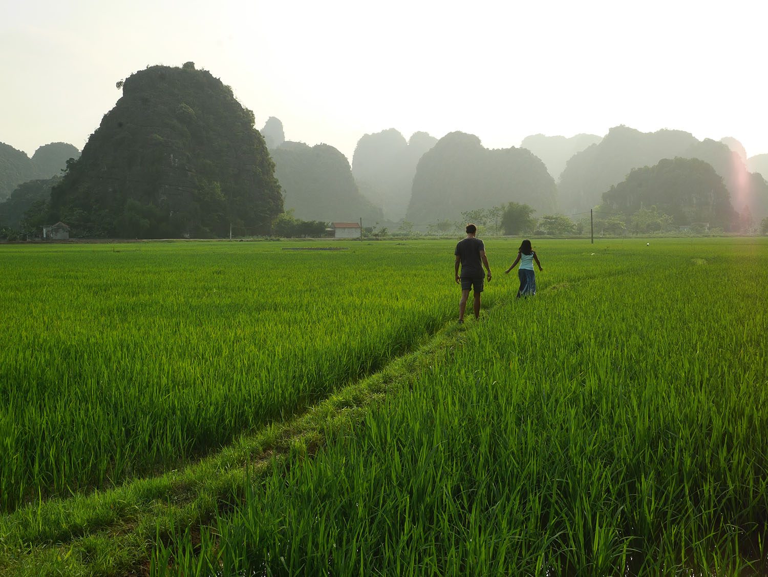 [Vietnam travel guide] Ninh Binh: the landscape of my dreams