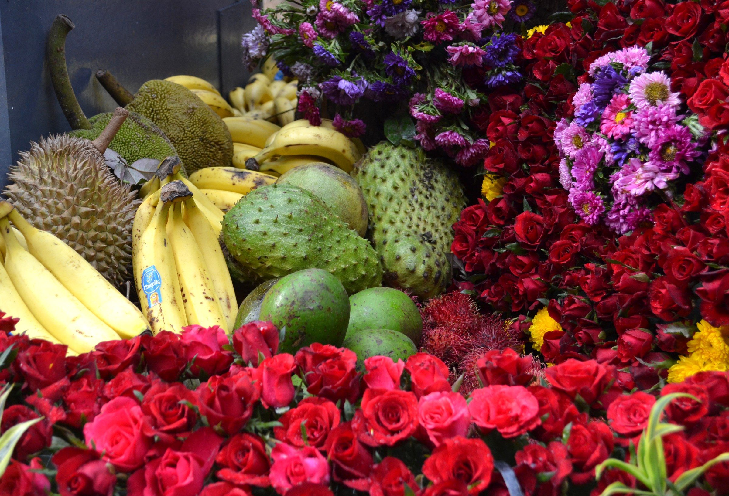 Flowers and fruits abound not only in the streets but also as motif of floral floats. Photo by Henrylito D. Tacio 