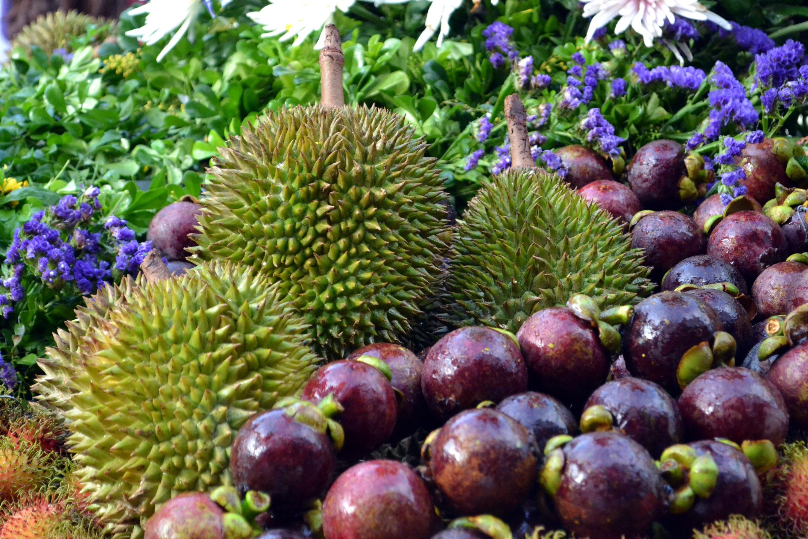 Durian and mangosteen, the king and queen of tropical fruits, respectively. Photo by Henrylito D. Tacio 