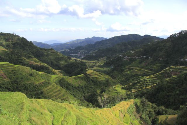 Banaue Rice Terraces. courtesy of Route 63 Travels   