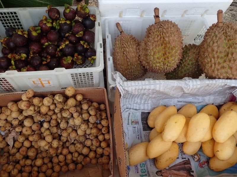 FRESH FRUIT. Old Manila Eco Market’s emphasis on health can also be seen in fruit stalls like this, with fruits coming from the country’s different regions, like mangoes from Guimaras. 