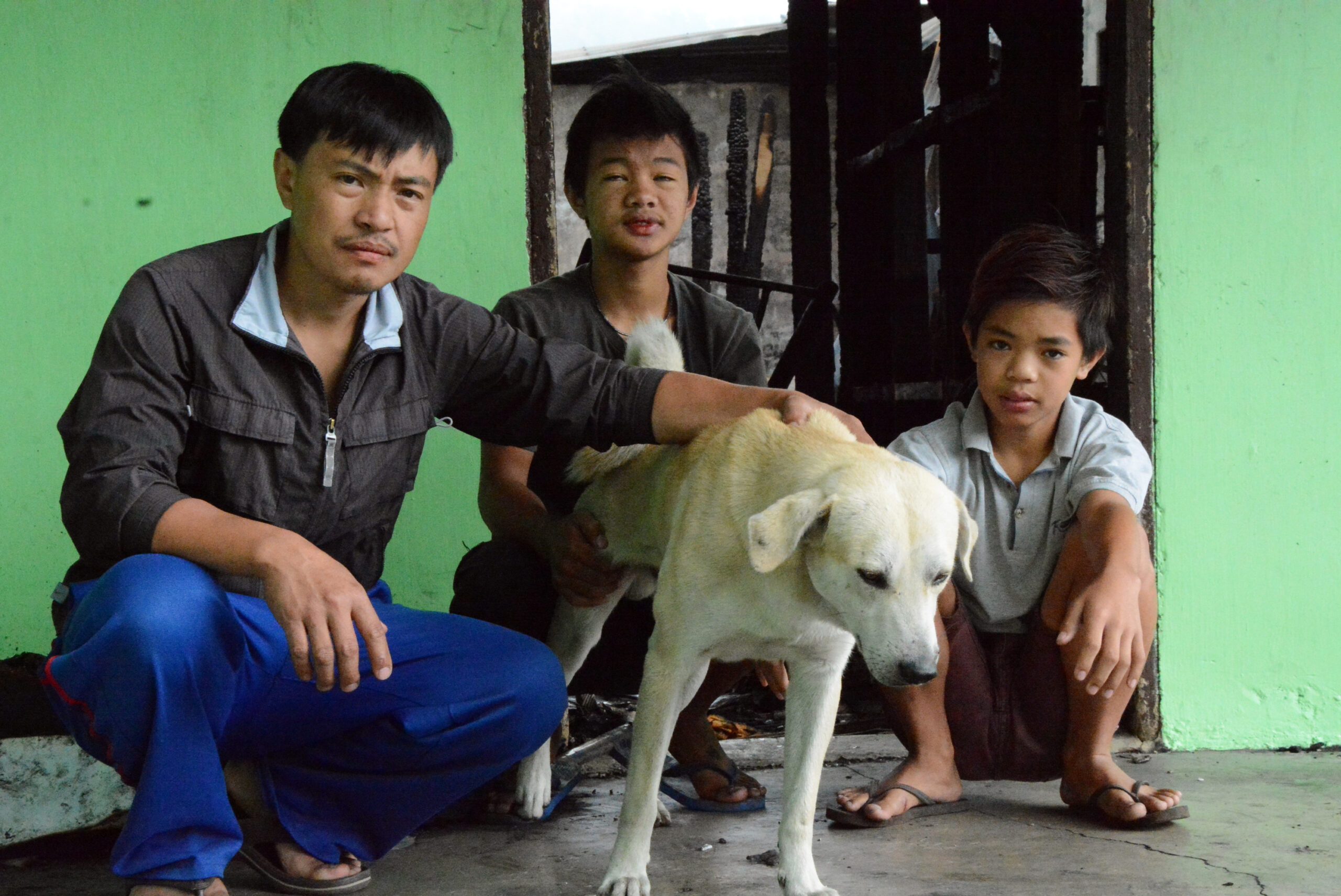 Dog saves 2 boys from fire in Benguet