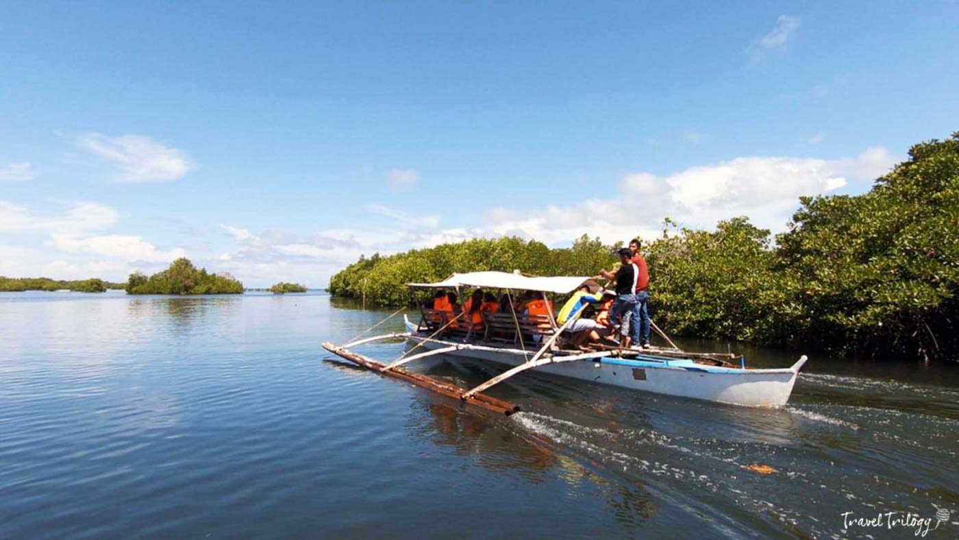 MANGROVES. You can also cruise amid the mangrove forest in the island. Photo by Potpot Pinili 