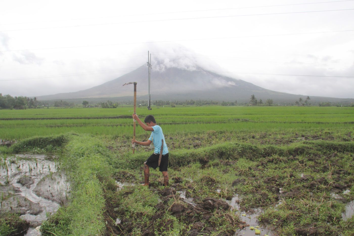 MAYON VOLCANO. Farmers in Camalig till their farmland while the Mayon Volcano remains on Alert Level 3. Photo by Rhaydz Barcia/Rappler 