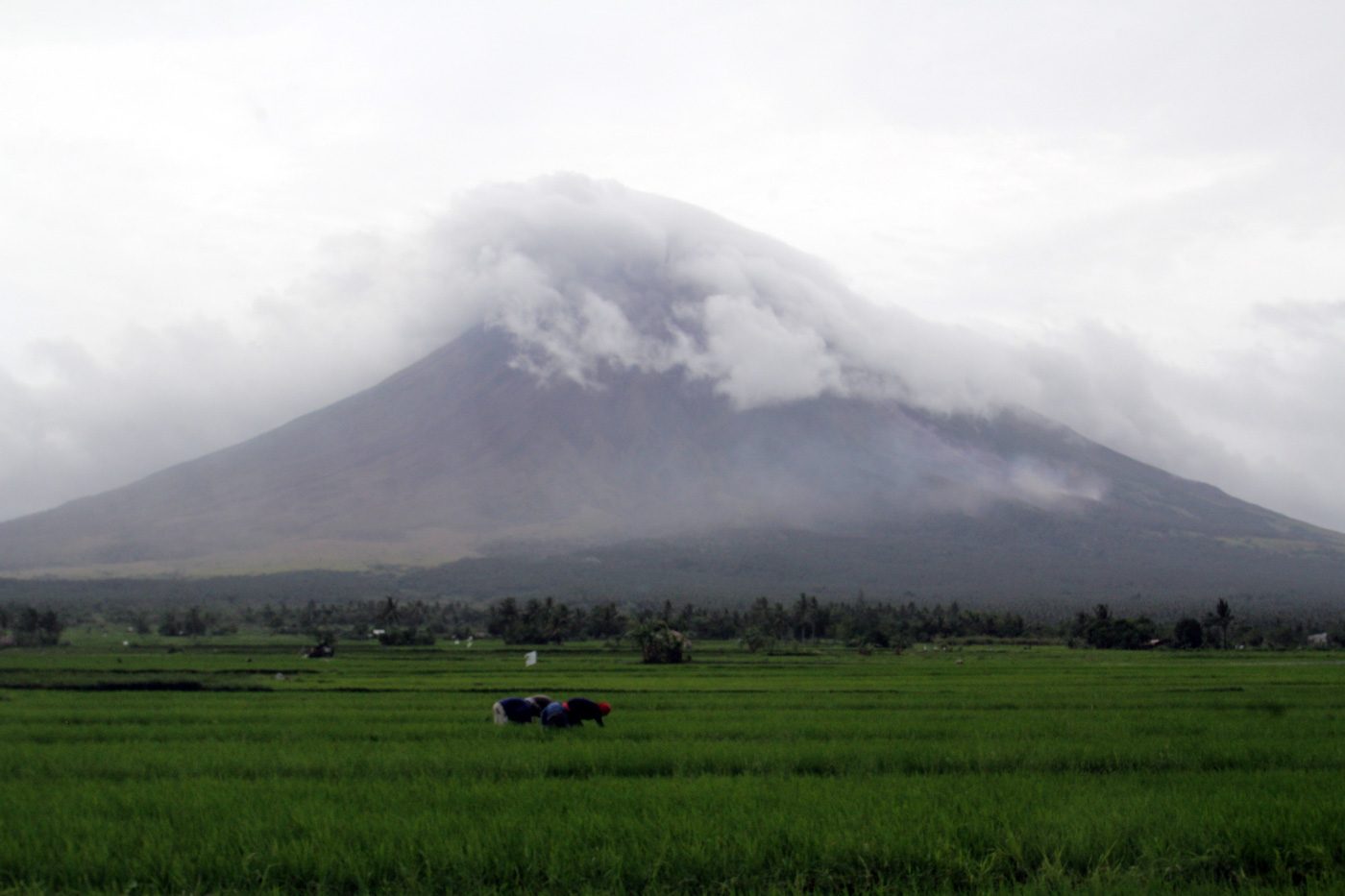 Mayon lava flow advances 3 kilometers, endangering farmers in ‘no man’s land’