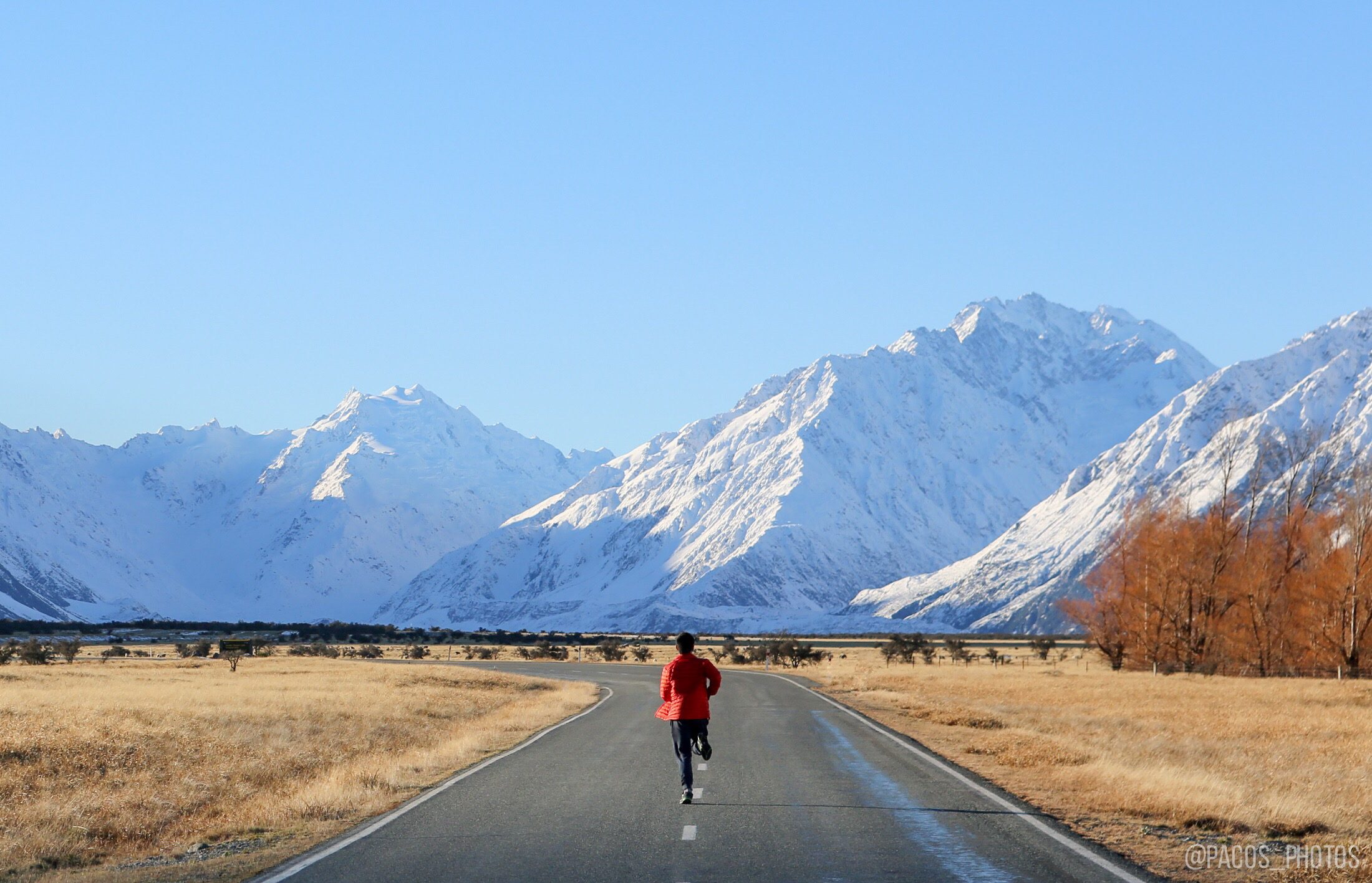DRAMATIC VIEWS. Winding roads, rolling green fields and snowy mountains in Mt. Cook National Park. 