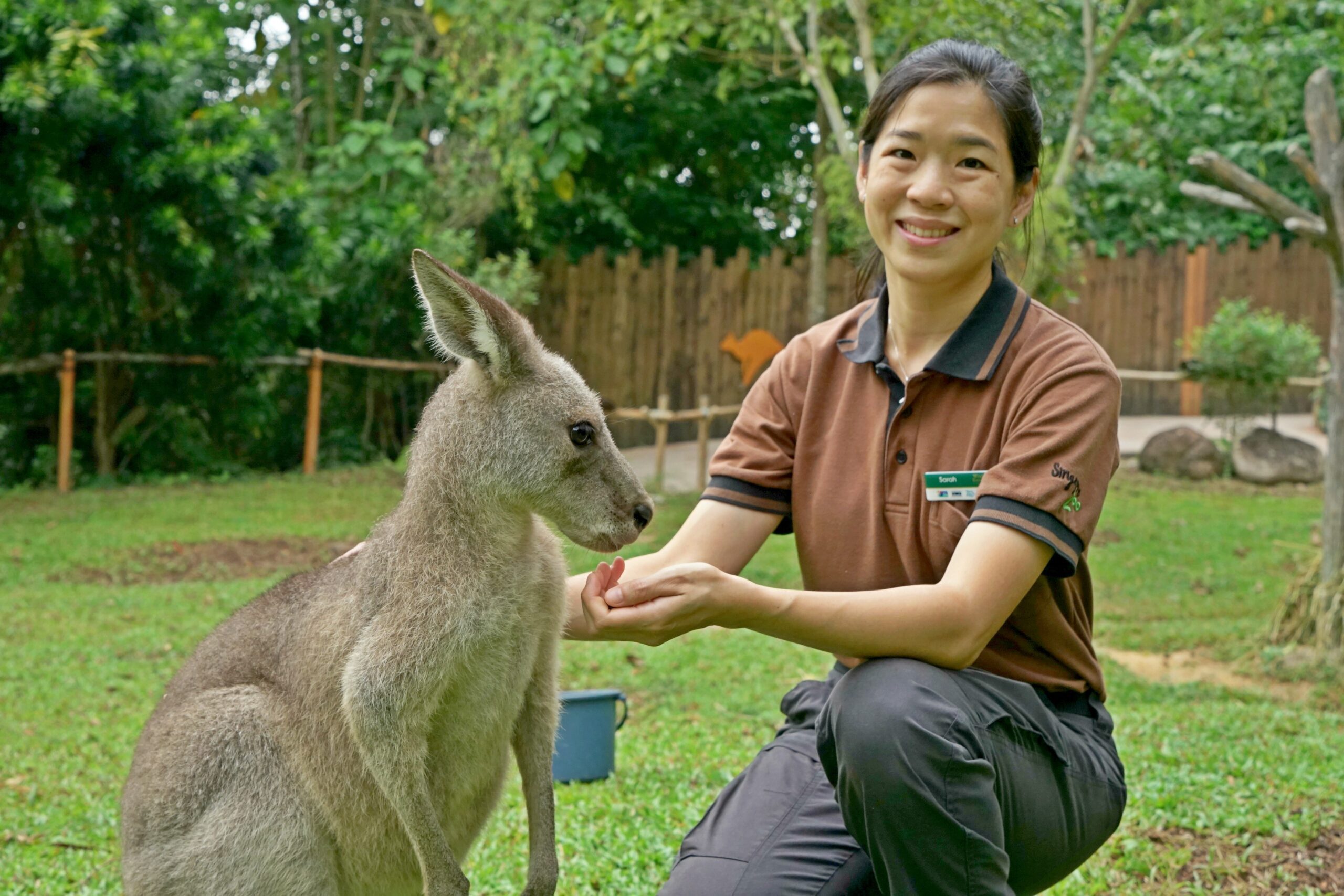 Sarah Chin: A zookeeper’s tale of turning passion into action