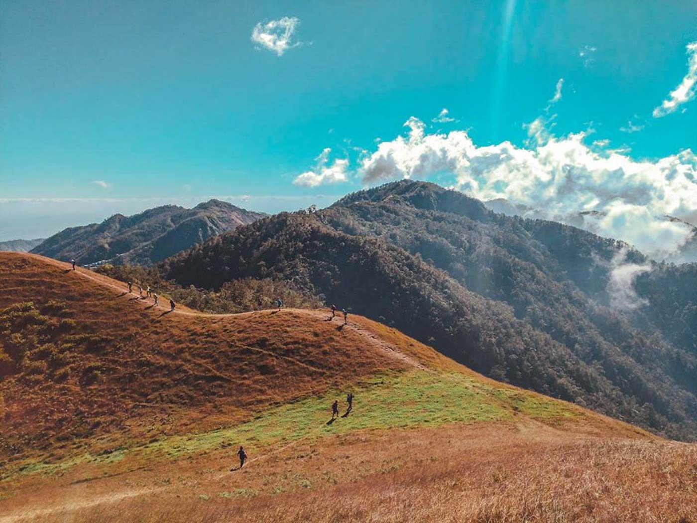 PICTURESQUE.  With its pine trees, grasslands, and mountain backdrop, Mt. Ulap is picturesque anywhere. Photo by Regine dela Peña of @alwaysonthegogirl, Instagram 