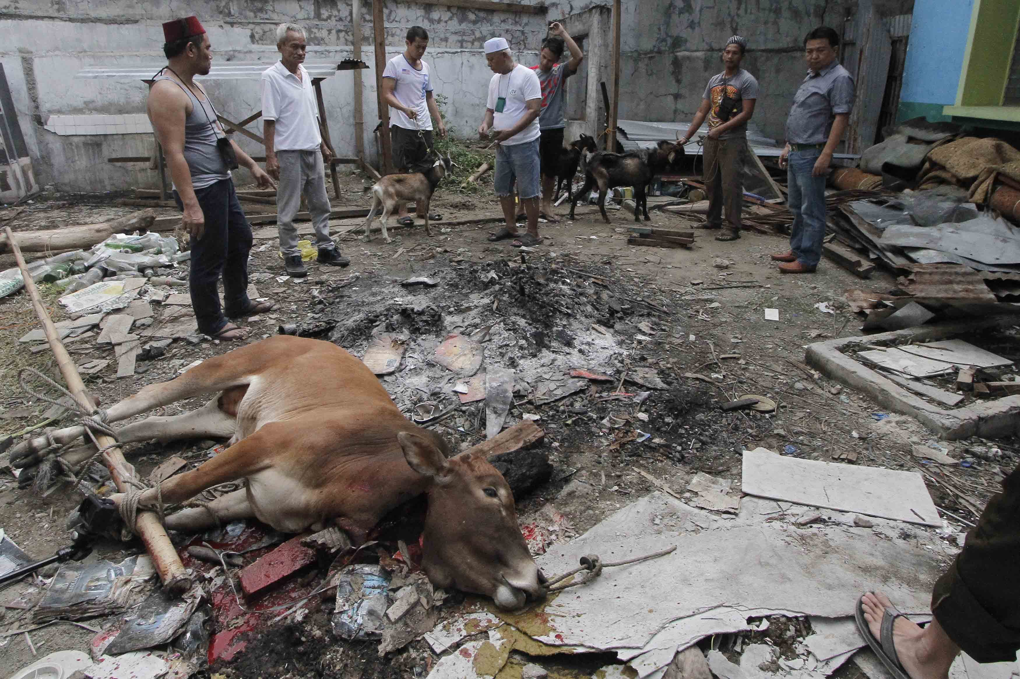SACRIFICE. A cow is offered and given to attendees of the prayer gathering in a Mosque in Barangay Mambaling. Photo by  Gelo Litonjua/Rappler 