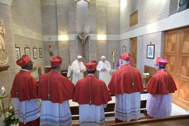 Pope Francis injects new blood into cardinals club