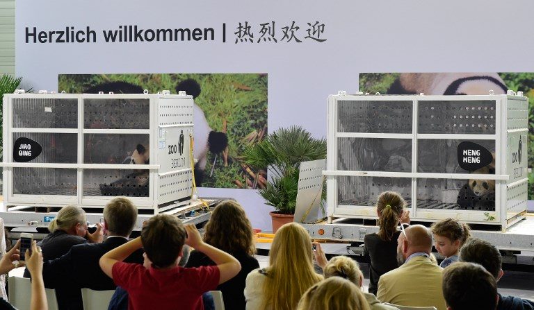 Panda mania hits Germany as China’s cuddly envoys arrive