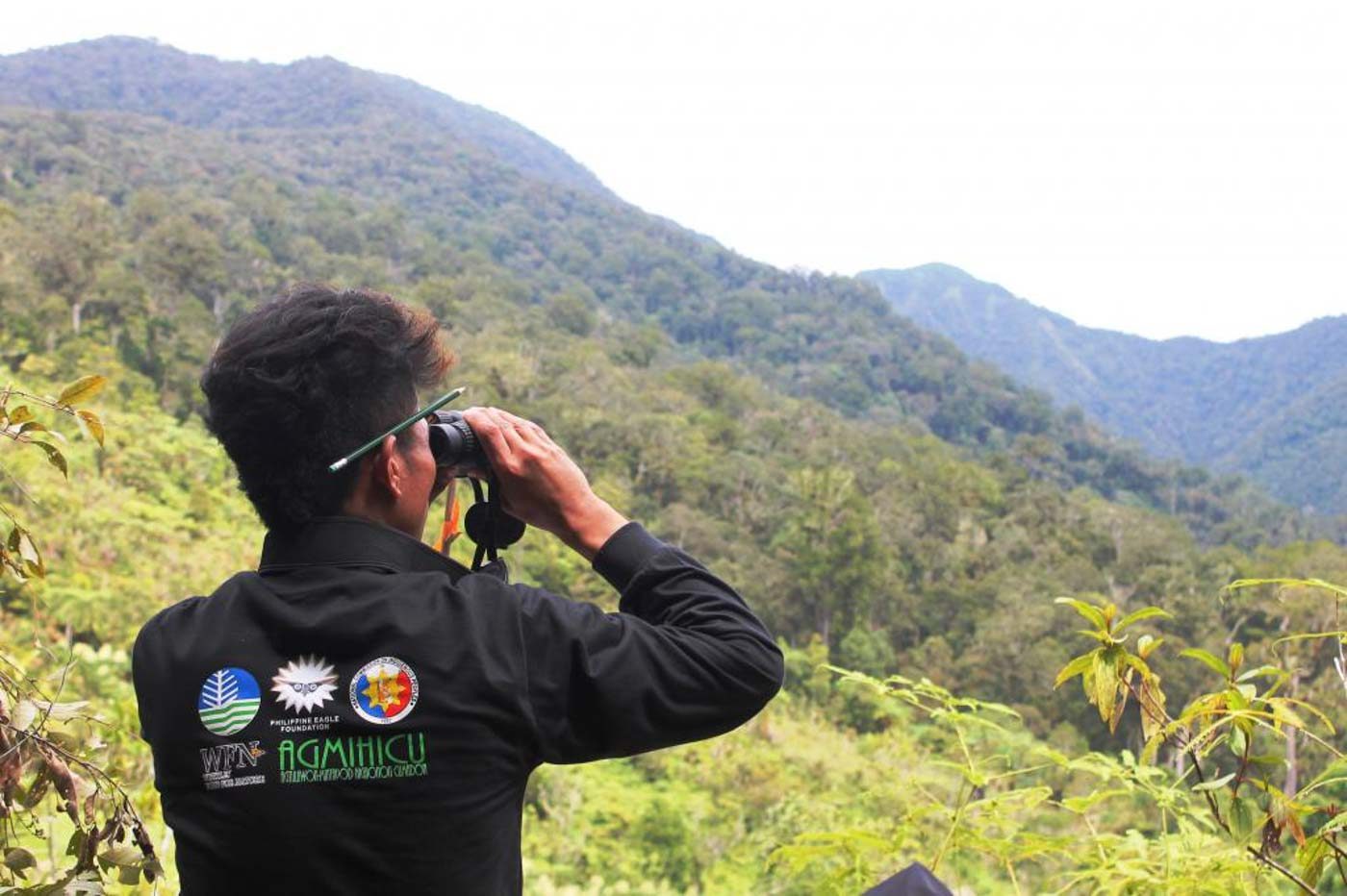 FOREST GUARD. A Higaonon forest guard doing eagle monitoring. Photo by the Philippine Eagle Foundation  