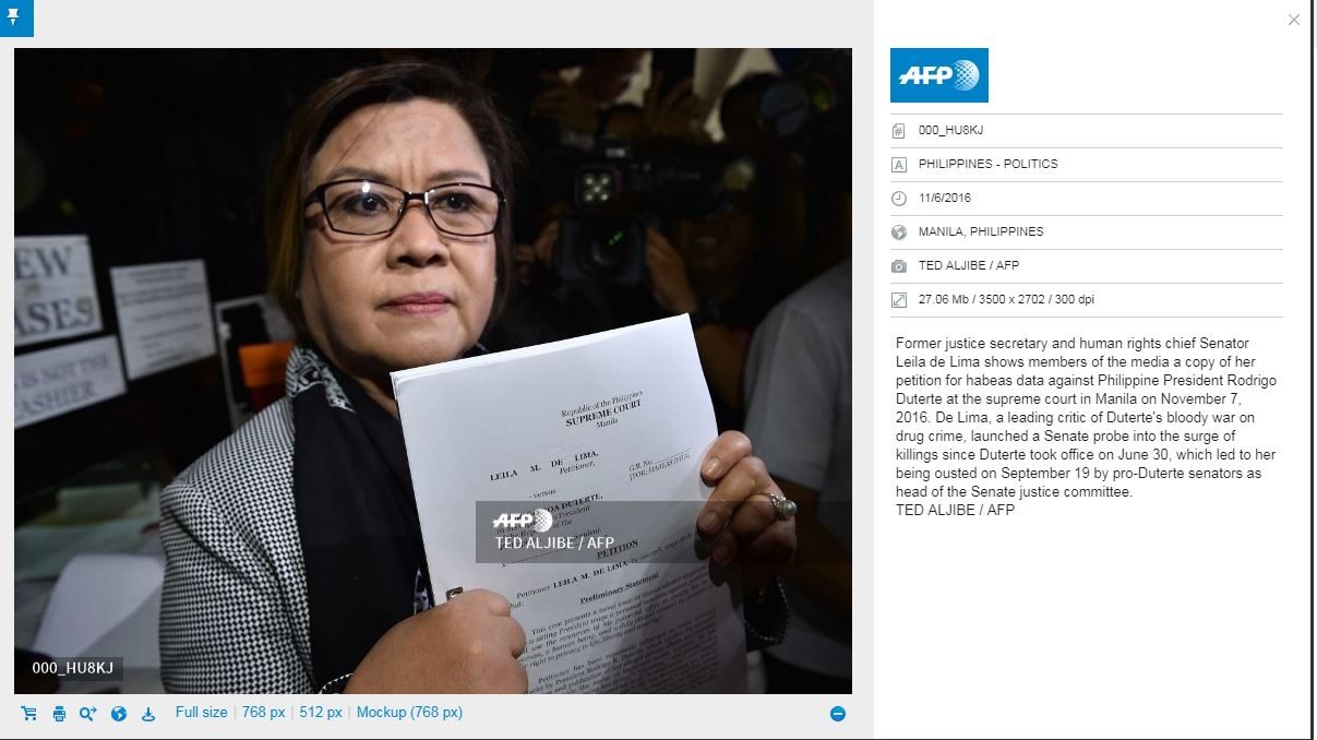 Screenshot of photo on AFP's image website
 