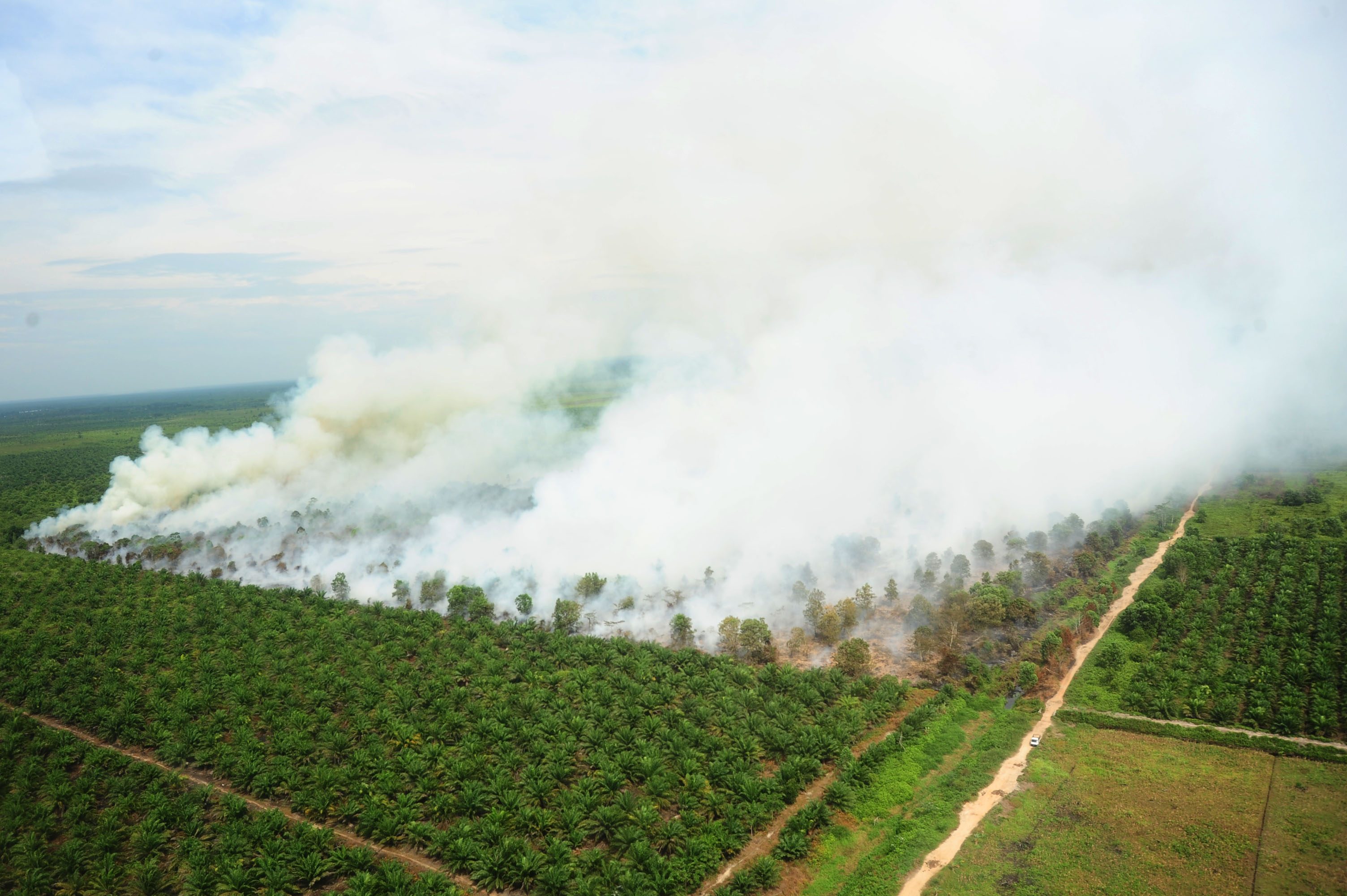 Terjadi peningkatan titik api kebakaran hutan yang masif di Kalimantan Barat pada Agustus 2016. Foto oleh Jessica Helena Wuysang/Antara
  