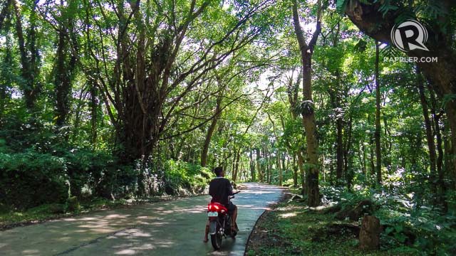 RAW BEAUTY. Much of Biliran’s natural beauty remains unspoiled. This is one of the narrow roads where habal-habals pass 