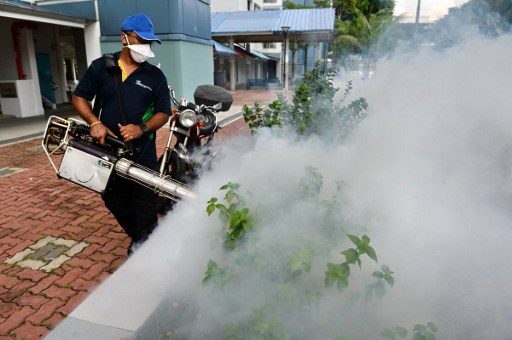 Zika cases in Singapore reach 215