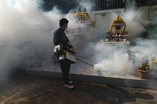 First Thai babies diagnosed with Zika-linked microcephaly – ministry