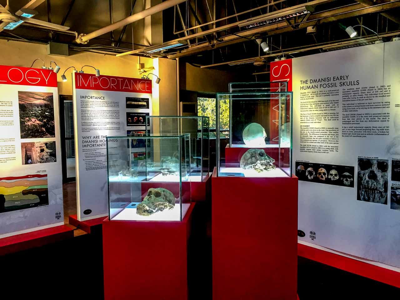 LOOKING BACK. A general view of the 'First Humans Out of Africa' exhibit, currently at the Ateneo de Manila University. Photo by Shaira Panela 