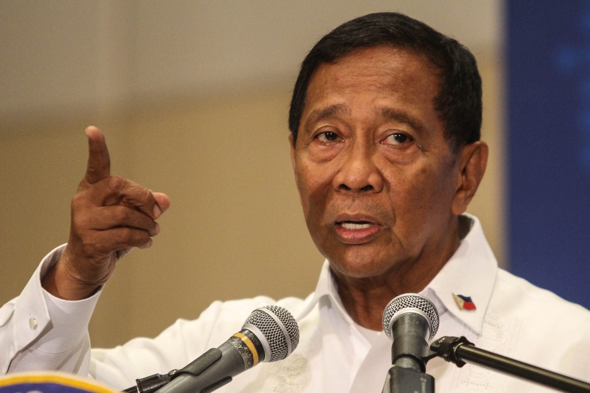 Binay: Split up DENR to fight climate change, boost agriculture
