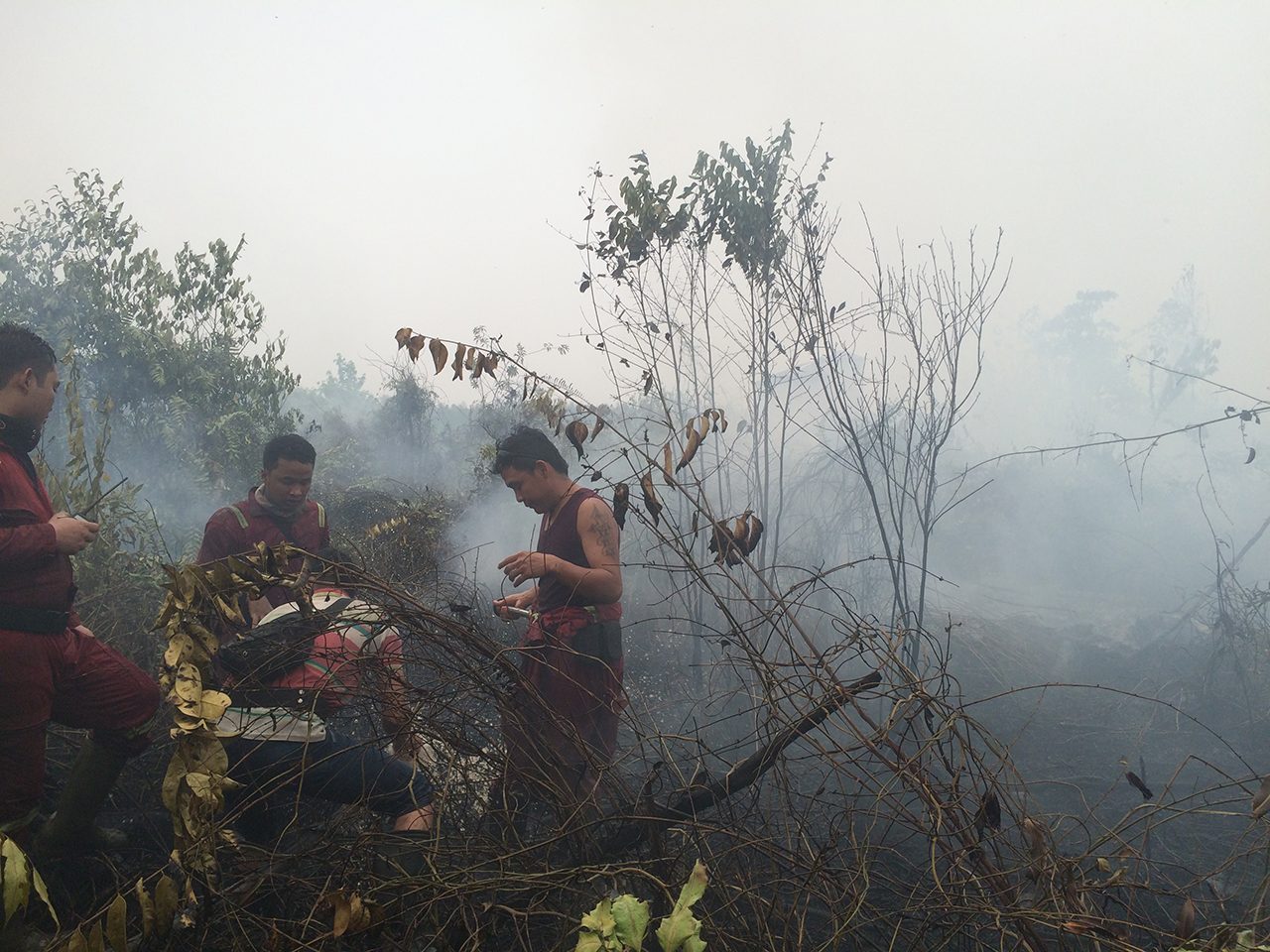 Petugas pemadam kebakaran: Mempertaruhkan nyawa mereka dengan memadamkan bara api