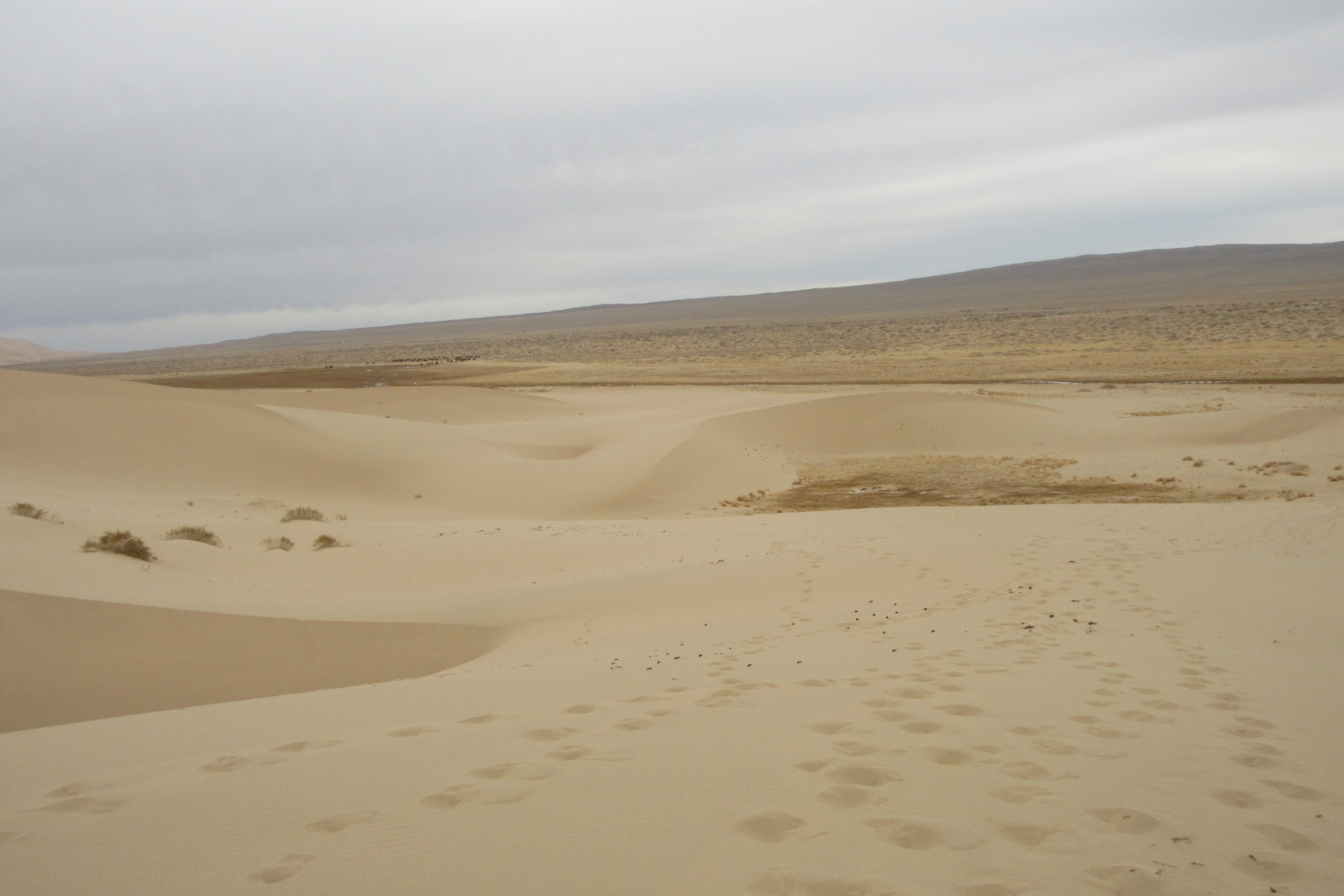 WAVE-LIKE DUNES. Spend an hour or so climbing the Gobi's dunes and wait until sunset to watch them turn red. 