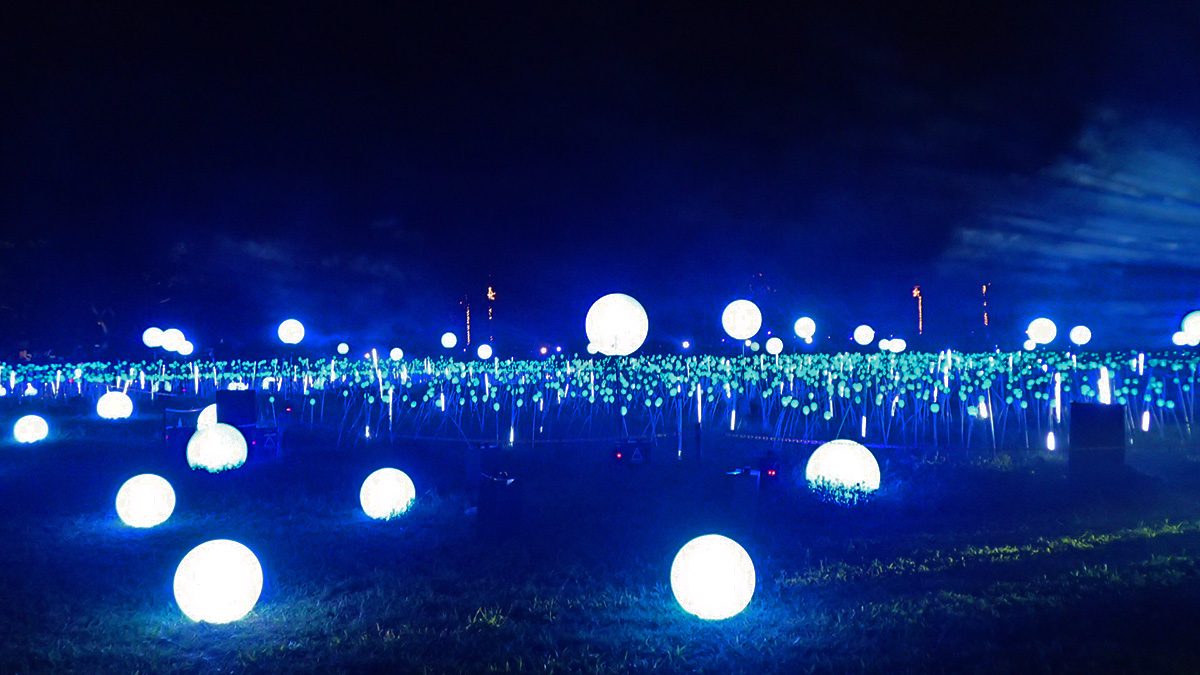 LIGHT ORBS ALL AROUND. The field this year is scattered with light spheres that look like magical orbs. Some look like they are floating, while others rest on the ground. 