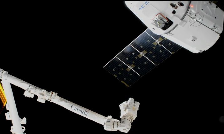 ‘Dragon back’ as cargo reaches space station