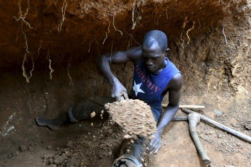 Ivory Coast cocoa farmers seek gold in face of drought