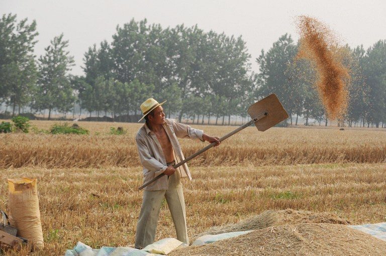 China says grain subsidies abide by WTO rules