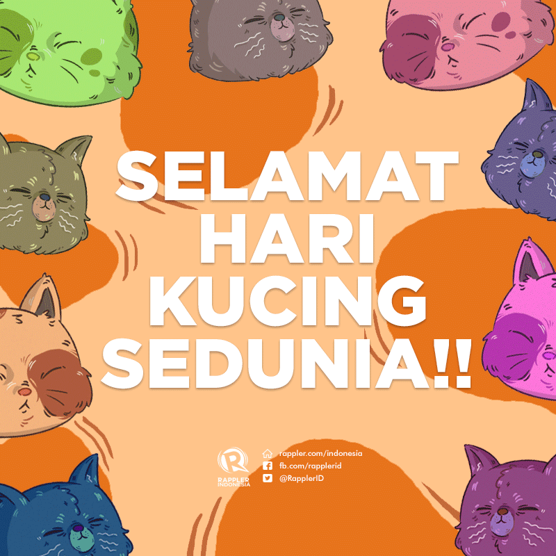 Netizen Indonesia ikut ramaikan Hari Kucing Sedunia