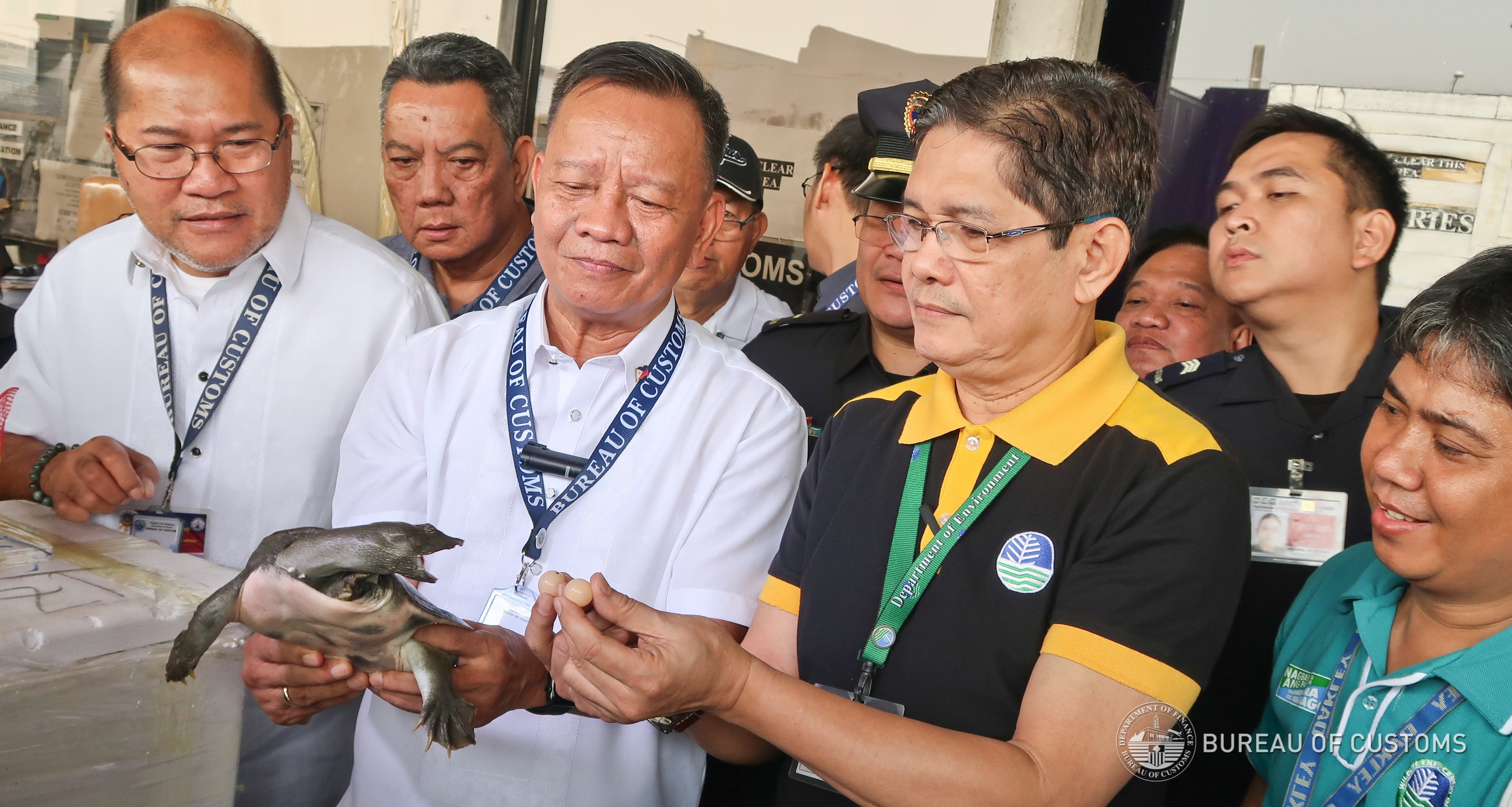 ANTI-SMUGGLING. Customs Commissioner Isidro Lapeña (front, 2nd from left) and DENR officials hold a seized turtle and some of its eggs. Photo from Bureau of Customs PIAD 