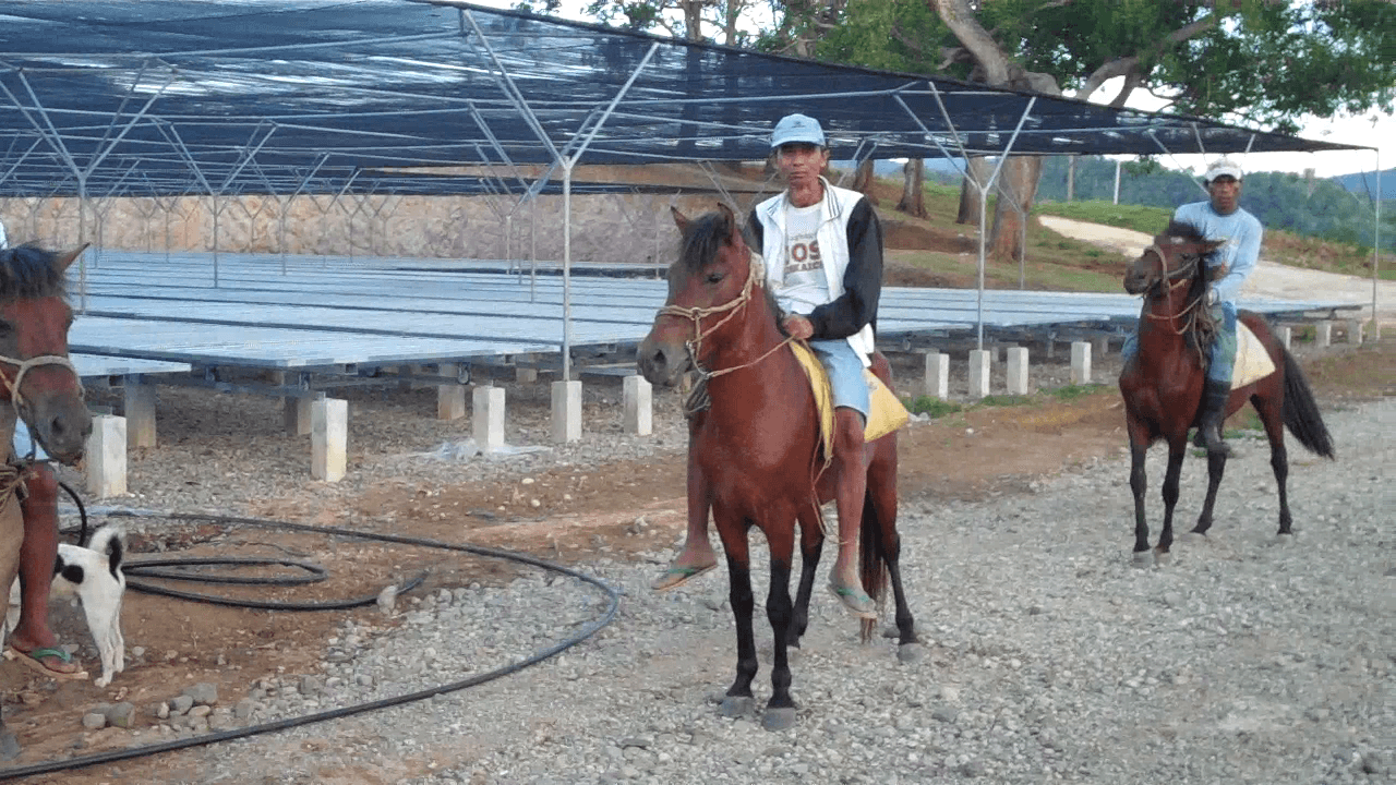 In Negros Oriental, forest firefighters ride on horses