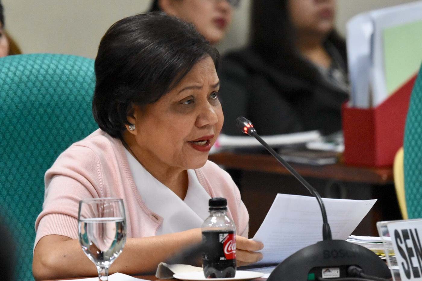 Senate topnotcher Cynthia Villar reports zero poll contributions