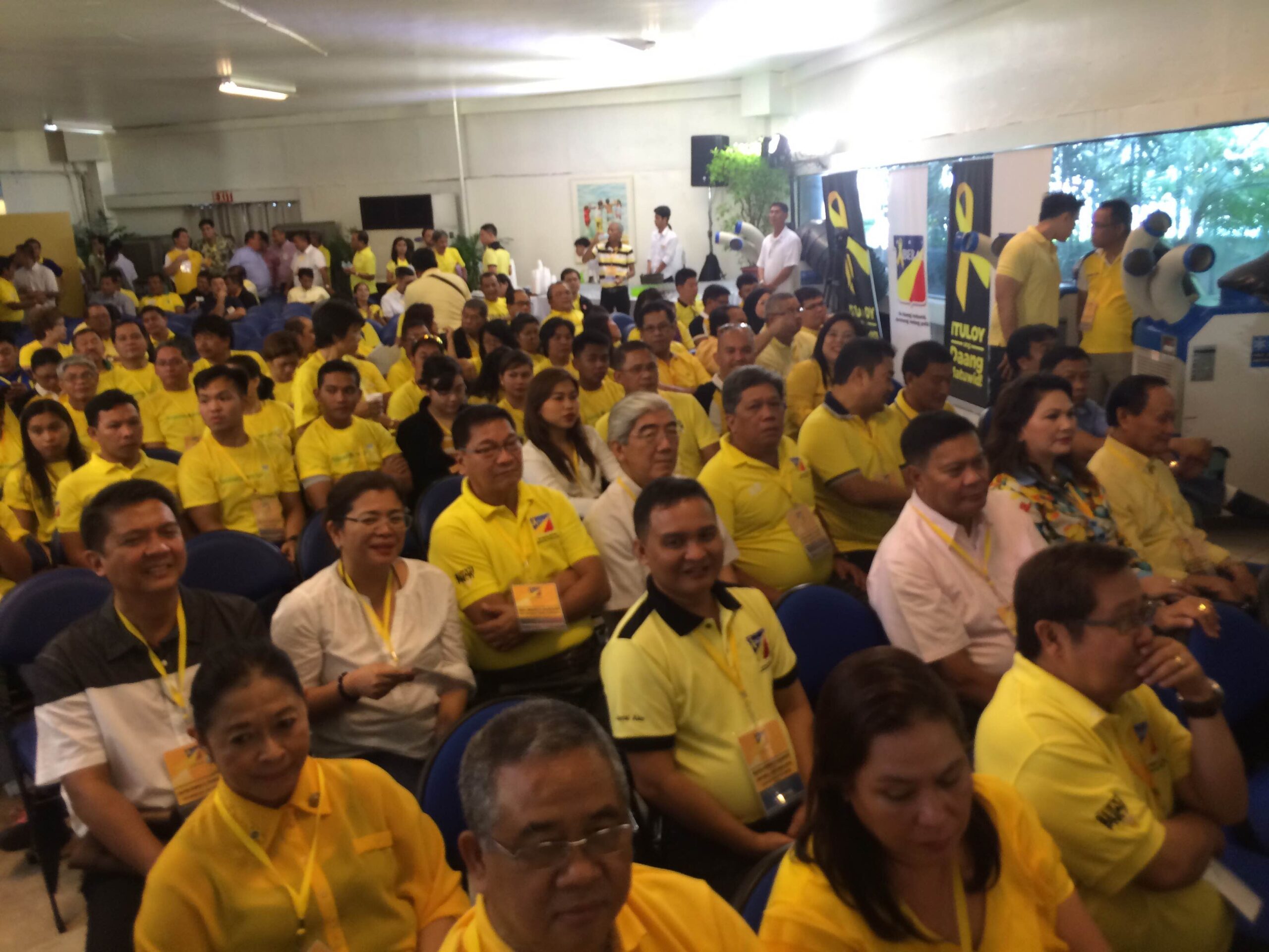 LP officially nominates Mar Roxas as standard-bearer