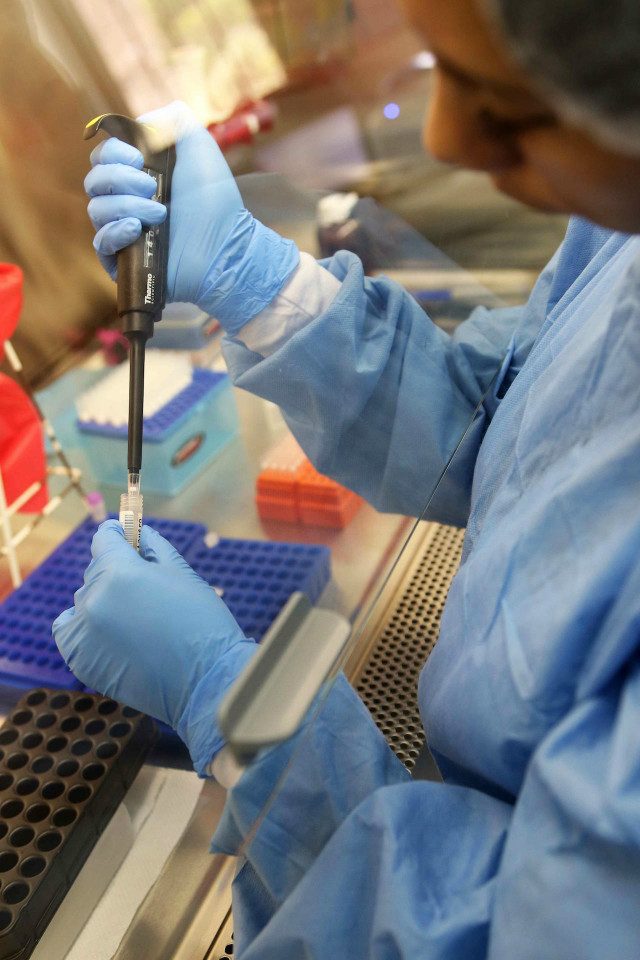 Researchers scramble to fight ‘brand new’ Zika virus