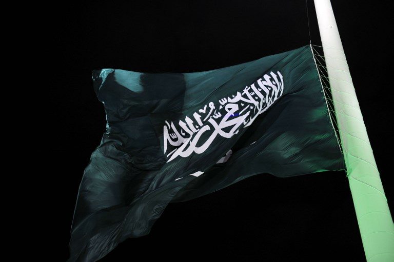 Saudi Arabia arrests princes, ministers in sweeping purge