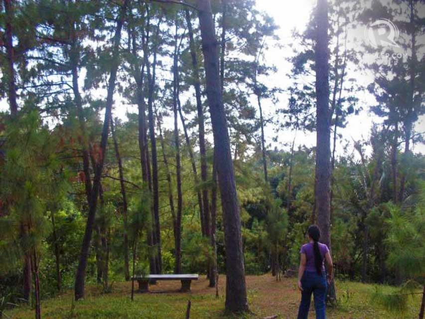 MORE TRAILS. Aside from the flowers and European-inspired architecture, there are also nature trails like these, occasionally punctuated by the Stations of the Cross and other religious statues.  Photo courtesy of Rhea Claire Madarang 