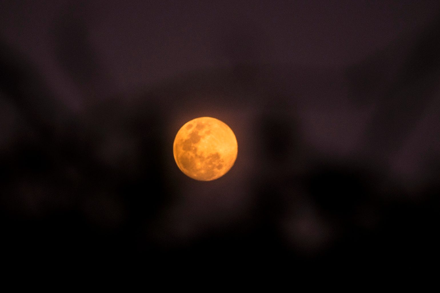 IN PHOTOS: Pink Moon dazzles in the night sky