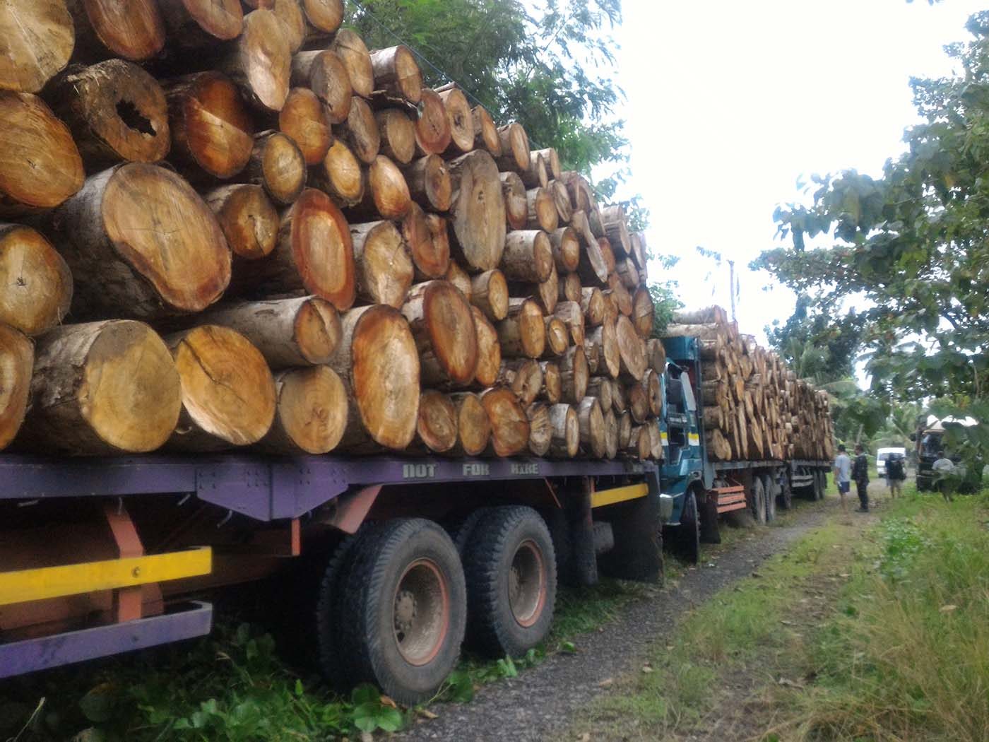 DENR seizes P10-M in illegally-cut logs, other equipment