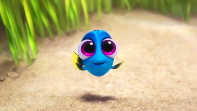 WATCH: Baby Dory stars in new ‘Finding Dory’ clip