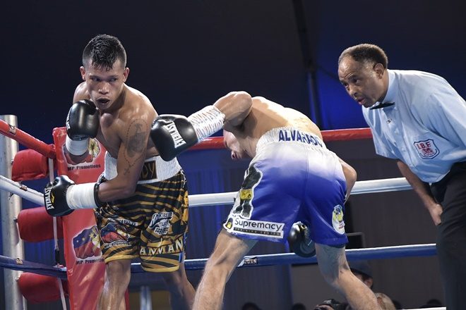 Filipino Randy Petalcorin KOed by Nicaraguan in world title fight