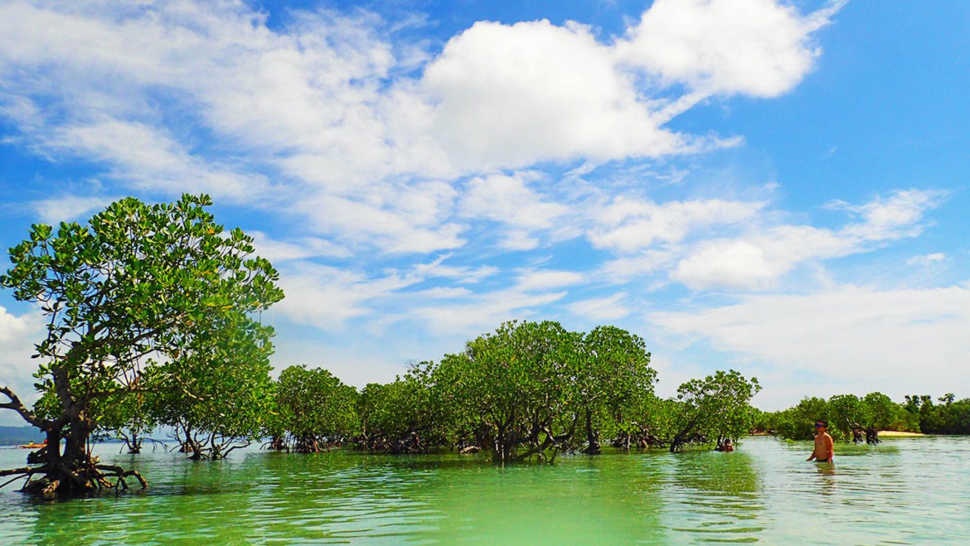 LUSH. The island’s mangrove forests are also worth a visit. 