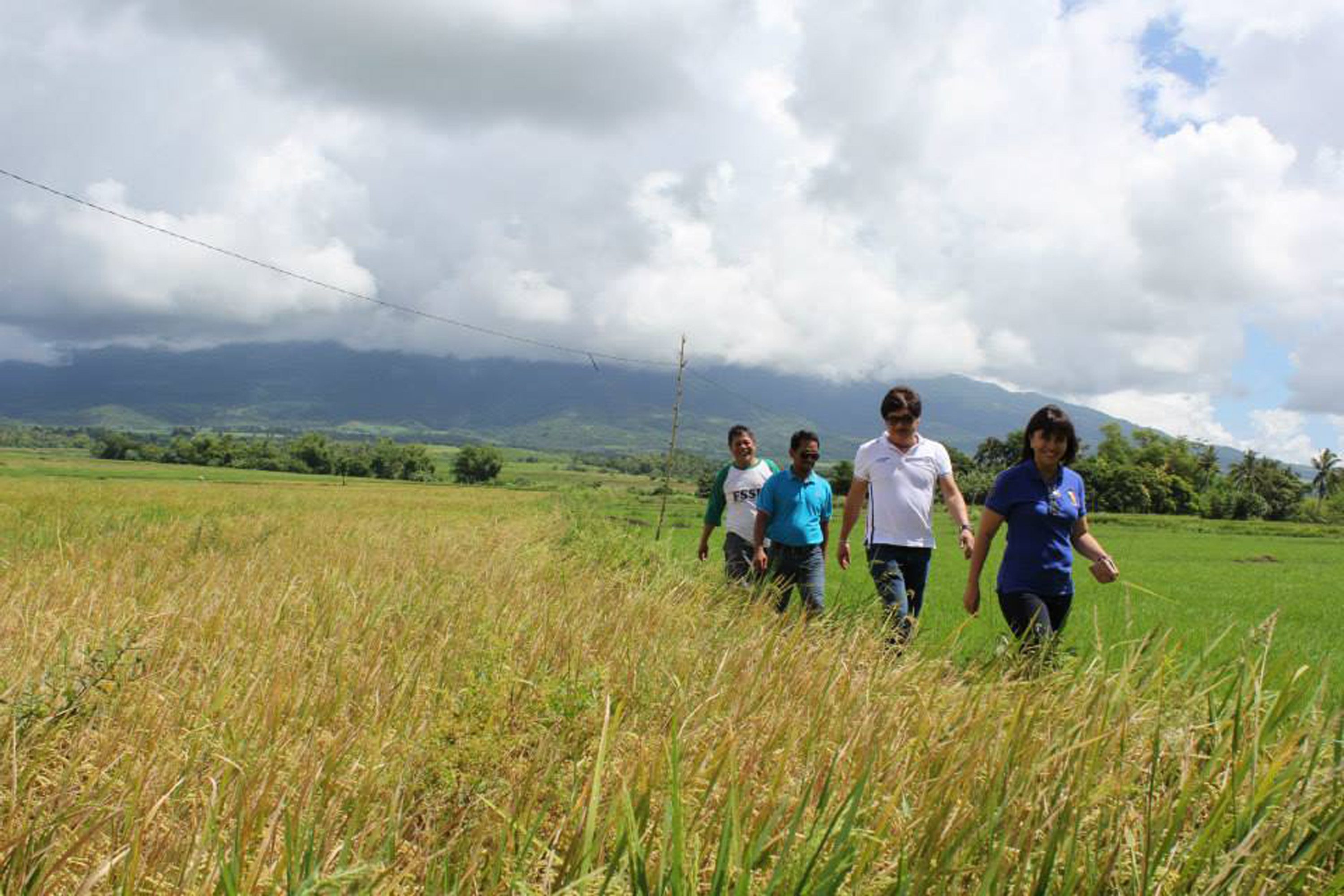 FARMERS' CHAMPION. Leni Robredo is known for often visiting farmers, even if she has to walk long distances. She has initiated several irrigation projects in her district in two years. Photo by Rhaydz Barcia/Rappler 