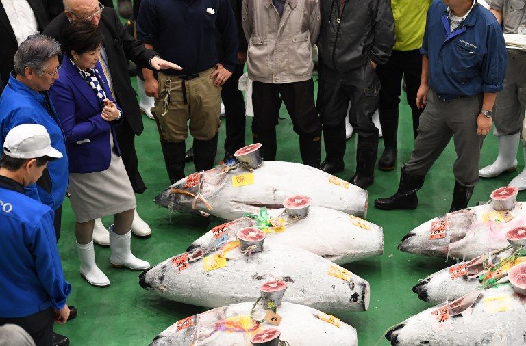 First tuna auction at Japan’s ‘new Tsukiji’ market